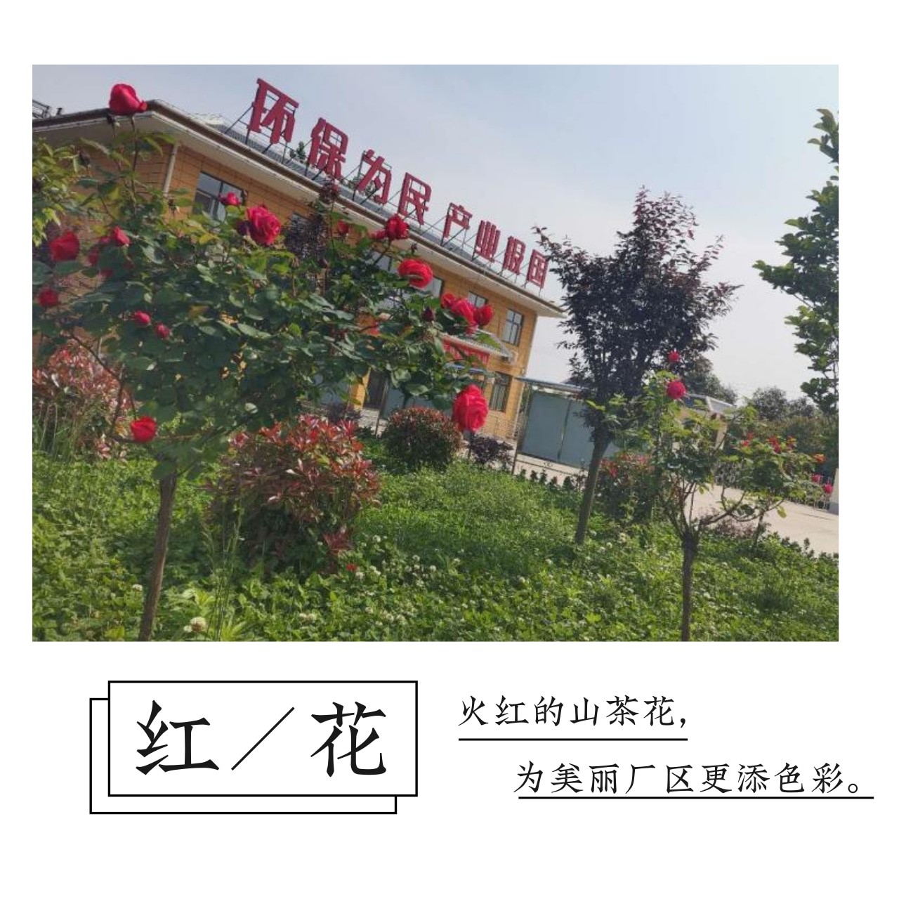 永利·yl(中国集团)有限公司官网