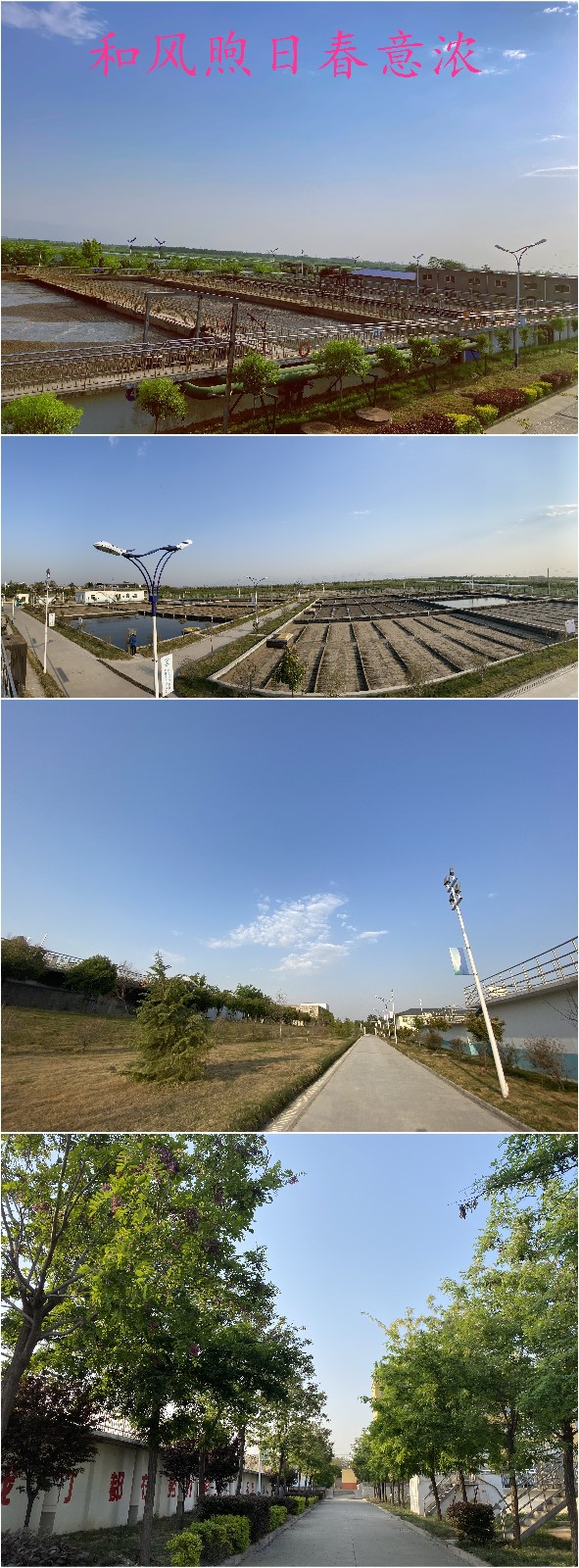 永利·yl(中国集团)有限公司官网