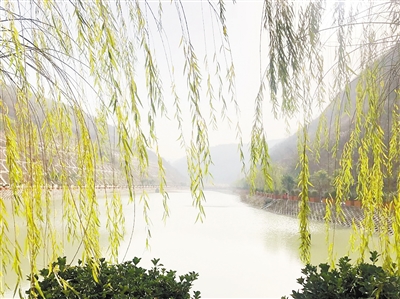 中国情形报：：：守护三秦大地绿水青山——永利集团官网集团建设以来，，，成为陕西污染防治的排头兵