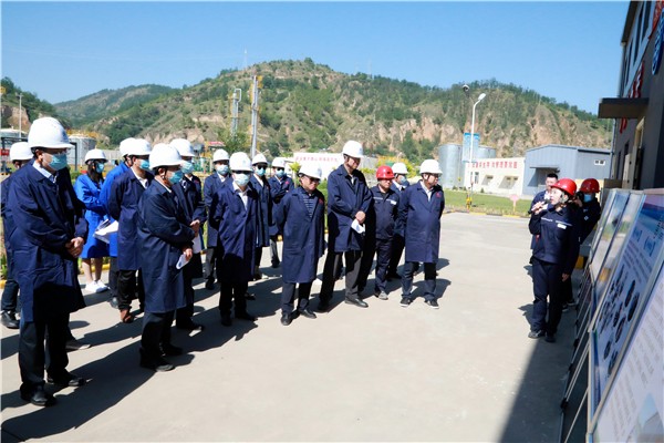 永利集团官网集团复工复产促增添项目观摩聚会与会职员走进环保保隆生态三秦在延在铜项目