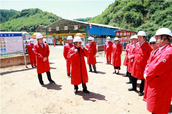 永利集团官网集团复工复产促增添项目观摩聚会与会职员走进环保保隆生态三秦在延在铜项目