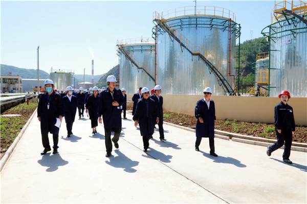 永利集团官网集团复工复产促增添项目观摩聚会与会职员走进环保保隆生态三秦在延在铜项目